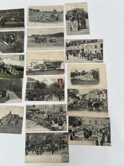 Scènes champêtres: Lot de plus de 60 cartes...
