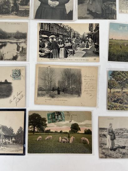 Cartes Postales - En Sologne : Ensemble de...