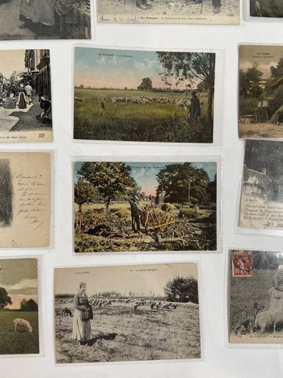 Cartes Postales - En Sologne : Ensemble de...