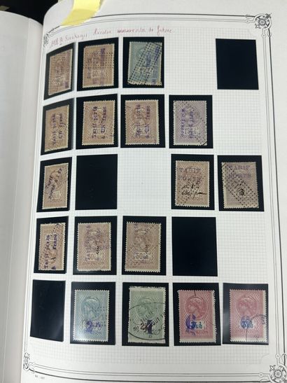Fiscaux - Dimensions : Ensemble des timbres...