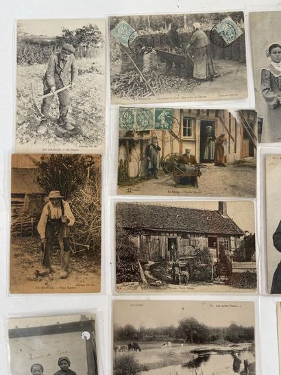 Cartes Postales - En Sologne : Ensemble de...