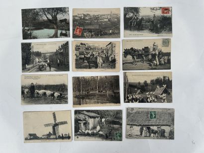 Scènes champêtres: Lot de plus de 60 cartes...