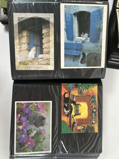 Cartes Postales - Divers : Ensemble de cartes...