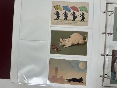 Cartes Postales - Thématique : Bel album...