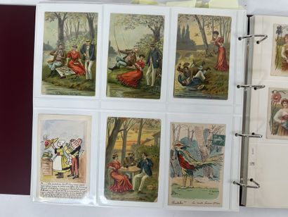 Cartes Postales - Thématique : Bel album...