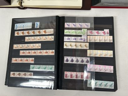 Faciale en multiple : Timbres période SM...