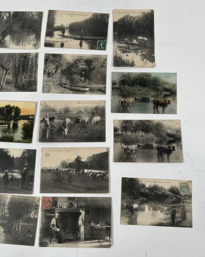 Centre : Nombreuses cartes sur le centre...
