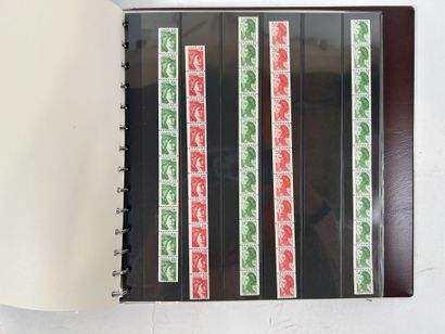 Roulette + Planches : Lot de roulettes dont...