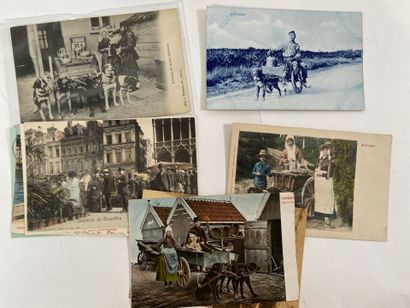 Cartes Postales - Etranger : Bel ensemble...