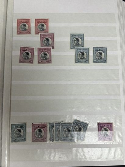 Monde : Timbres de Jordanie dont variétés...