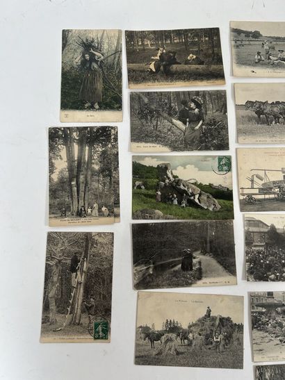 Scènes champêtres: Lot de plus de 60 cartes...