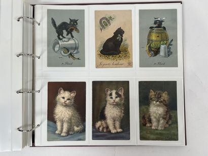 Cartes Postales - Thématique : Bel album...