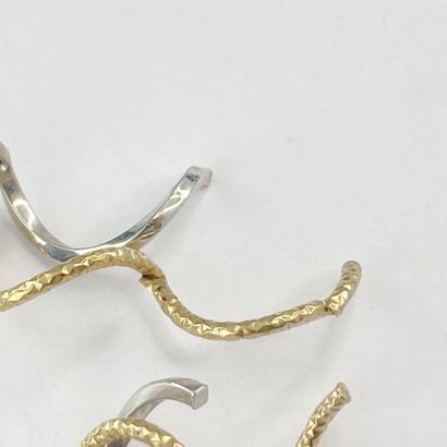 Pair of metal earrings