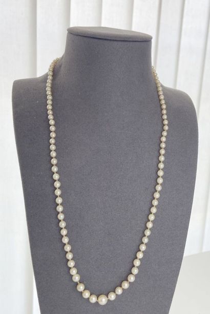 Collier de perles* chute, fermoir or avec...
