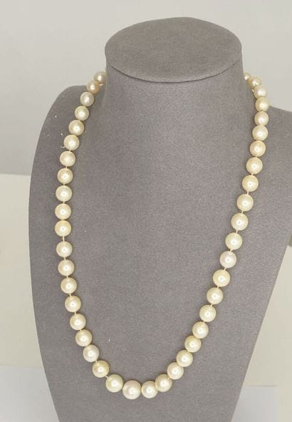 Collier perles* chute, fermoir or