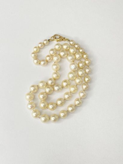 Collier perles* chute, fermoir or