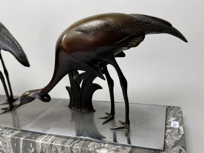 School, circa 1900.
Ibis or cranes.
Large,...