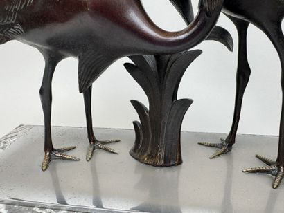 School, circa 1900.
Ibis or cranes.
Large,...