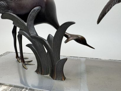 School, circa 1900.
Ibis or cranes.
Large,...