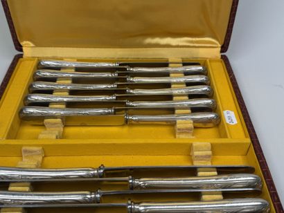 Set of 12 table knives and 12 dessert knives...