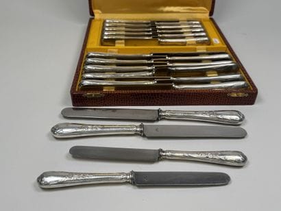 Set of 12 table knives and 12 dessert knives...