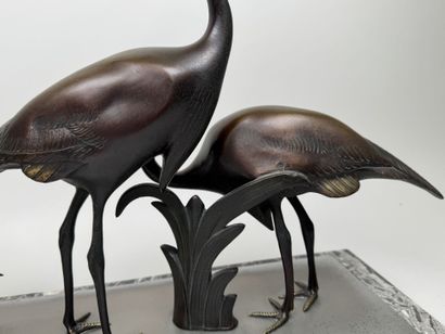 School, circa 1900.
Ibis or cranes.
Large,...
