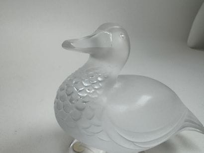 LALIQUE.
Duck.
Molded, pressed, and satin-finished...
