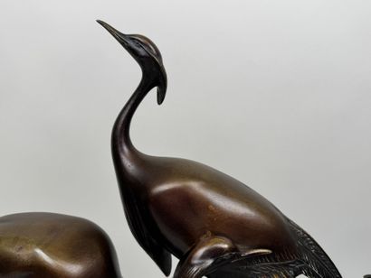 School, circa 1900.
Ibis or cranes.
Large,...