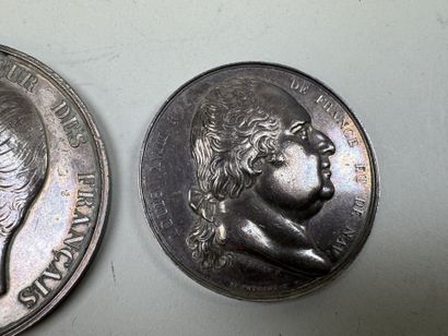 BARRE - DE PUYMAURIN.
Napoleon III and Louis...