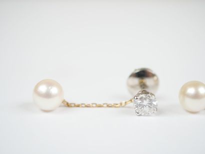 A pair of earrings in white gold and 18K...
