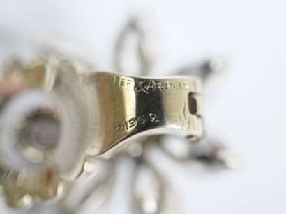 VAN CLEEF & ARPELS. 
A pair of earrings in...