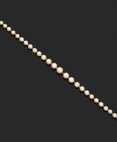 Necklace with 131 cascading fine pearls;...