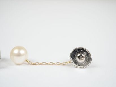A pair of earrings in white gold and 18K...