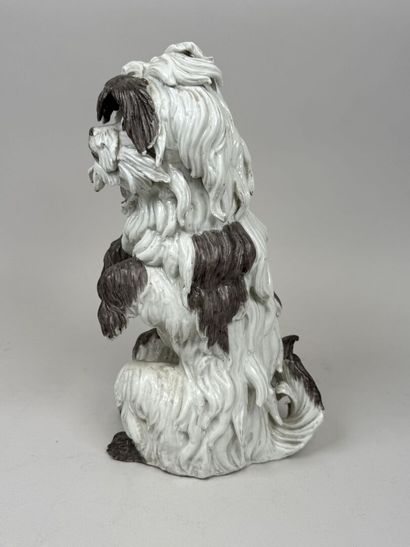MEISSEN, Johann Joachim KAENDLER, d'après.
Bichon...