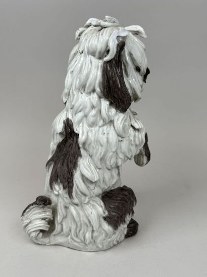 MEISSEN, Johann Joachim KAENDLER, d'après.
Bichon...