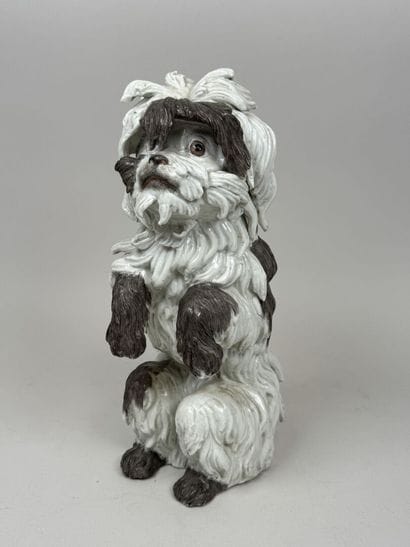 MEISSEN, Johann Joachim KAENDLER, d'après.
Bichon...