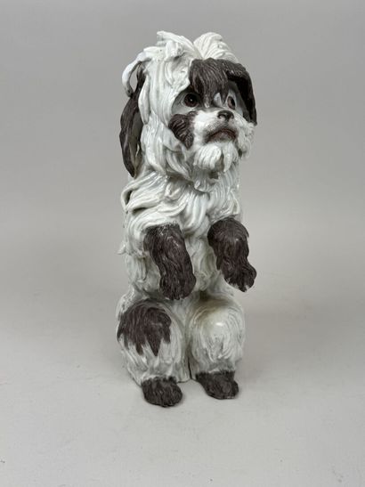 MEISSEN, Johann Joachim KAENDLER, d'après.
Bichon...