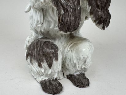 MEISSEN, Johann Joachim KAENDLER, d'après.
Bichon...