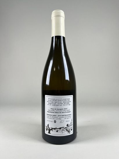 JURA COAST.
Domaine Labet. Les Parcelles...