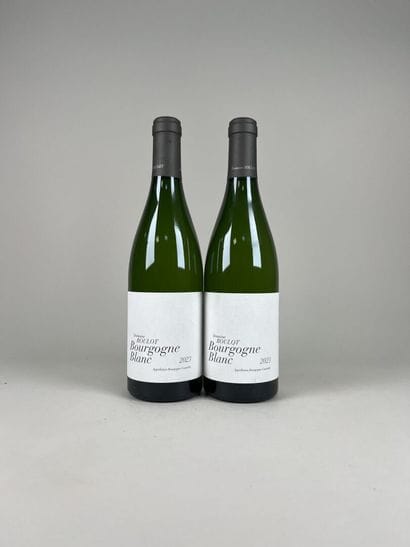 **WHITE BURGUNDY.
Domaine Roulot.
2023. 2...
