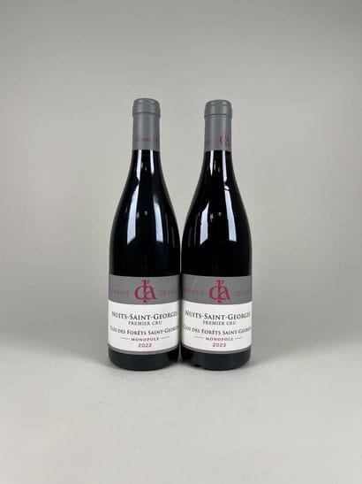 **NUITS-SAINT-GEORGES. 1er Cru.
Domaine de...