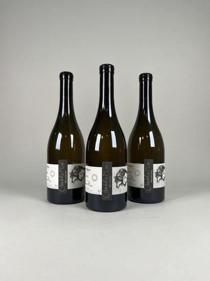 CHABLIS. 1er Cru.
Domaine Pattes Loup - Thomas...