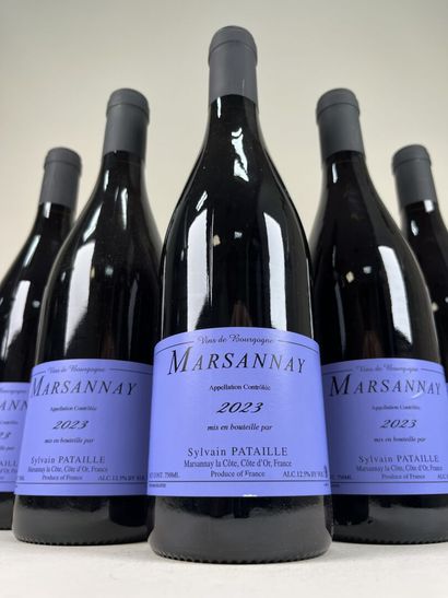 **MARSANNAY.
Sylvain Pataille.
2023. 5 bt.
TVA...