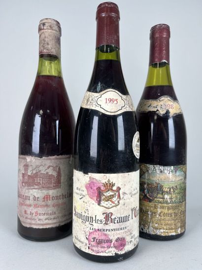 **SAVIGNY-LÈS-BEAUNE. 1er Cru.
François Gay.
Les...