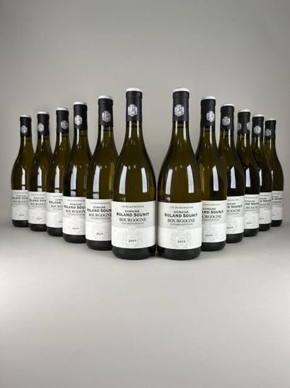 **WHITE BURGUNDY.
Domaine Roland Sounit.
2019....