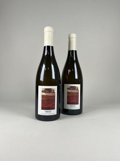 JURA REGION.
Domaine Labet. Les Juvéniles.
Bajocian...