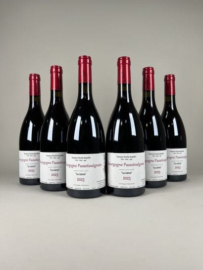 **BOURGOGNE PASSETOUTGRAIN.
Nicolas Raspiller.
Les...