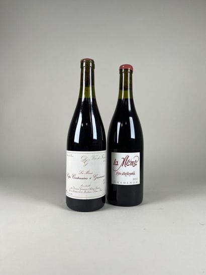 VIN DE FRANCE. (RHONE).
Domaine Gramenon.
Ceps...
