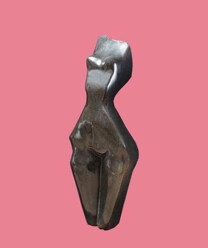 Karuru Wellington
Beauté Sculpture en Springstone...