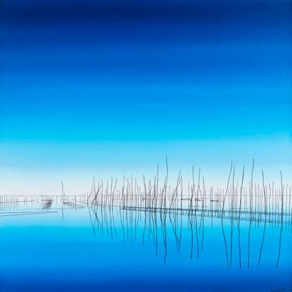 SADIRAC Laurent

(1963)

Bleu I

Huile sur...